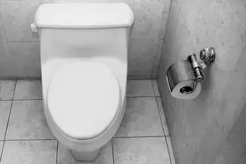 公厕里的马桶vs蹲坑，你选哪个？图片