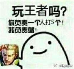 王者荣耀一键禁玩表情包搞笑版_王者荣耀禁玩表情图片