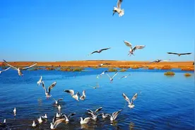 气候逆转，西安重回汉唐暖湿气候，应如何接住这份时运的馈赠图片