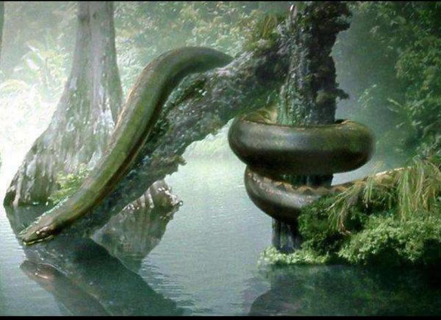 泰坦蟒的天敌 泰坦蟒的天敌是谁_品学知识网