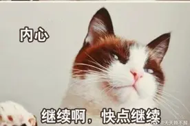 搞笑图集。当你被人称赞时，你是这个反应吗？图片