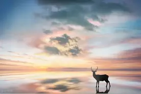 《天道》相濡以沫 不如相忘于江湖图片