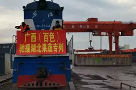 “百色一号”专列今天出发湖北黄冈，带去青菜、砂糖桔等果蔬202吨​图片