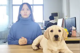 1招教你分辨，4类狗狗不能吃的东西，我猜这是你们想要的视频封面
