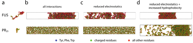 「相分离」蛋白质的重入相变依赖于疏水和非离子相互作用