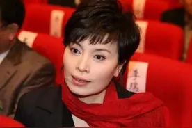 央视主持人李瑞英：儿子坠楼仍照常工作，舍小家为大家却遭受谩骂图片