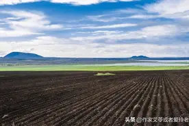 东北女人到底有多豪放图片