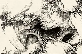 民间故事：小木匠喜得良缘，妻子抱头哭泣，咱们缘分到头了图片