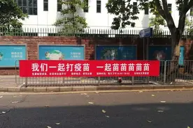 成人值得打的疫苗有哪些？我都整理清楚在这里了图片