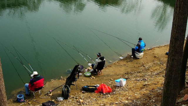使用鱼饵添加剂，要掌握用量和方法