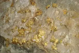 价值超百亿！河南发现特大金矿，附近能捡到狗头金吗？图片