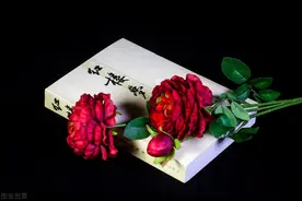 反腐实践中的三大特殊利益群体：可谓“一荣俱荣，一损俱损”图片