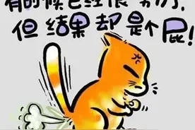 白岩松：养出有生命意义的孩子，就一定要让孩子受三种苦图片