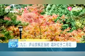 九江：庐山赏枫正当时，霜叶红于二月花视频封面