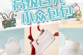 均价百元包包推荐｜高级小众不撞包图片