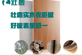 壮鹿讲述家与鹿的故事图片