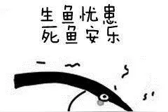 2010年至2020年人口负增长的省份，看看有没有你老家？图片