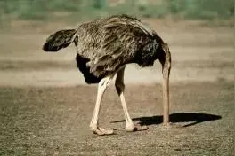 逃避解决不了问题图片