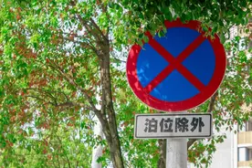 新型抓拍设备上线！被拍一律扣6分罚200图片