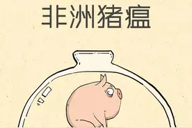 非瘟病毒异变，泥土+雨水或加速非瘟病毒传播！养猪人该怎么做？图片