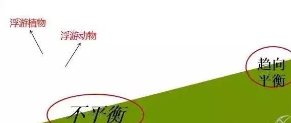 早春肥水提上日程，秘笈在这里！