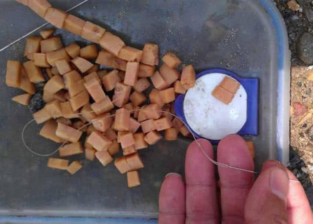 火腿肠也能钓鱼吗？用白酒、红糖、氨基酸水泡制后，有效果