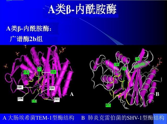 舌尖上的安全（8）——解读牛奶中的β-内酰胺酶