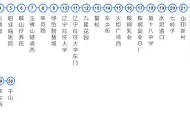 鞍山梨花超半马|公交指南图片