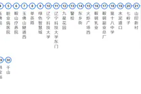 鞍山梨花超半马|公交指南图片