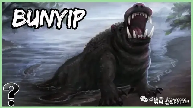 不可思议的神秘动物（四）