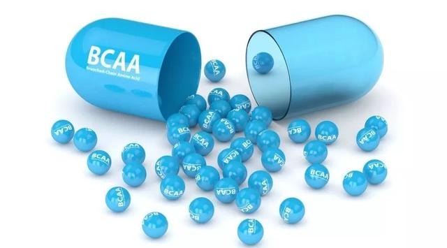 索队聊补剂：BCAA真的是鸡肋吗？去伪求真一篇说透