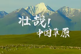 壮哉！中国草原图片