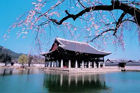 韩国平民的真实生活：破败、促狭和丑图片