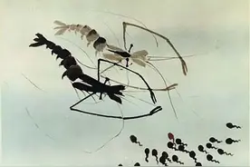 《小蝌蚪找妈妈》“意蕴深远的中国风，才是属于曾经的巅峰”图片
