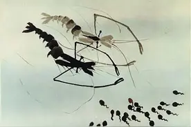 《小蝌蚪找妈妈》“意蕴深远的中国风，才是属于曾经的巅峰”图片
