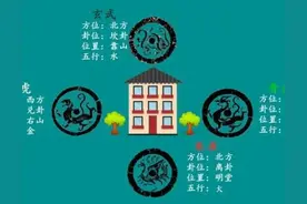 为什么我们说左青龙，右白虎，前朱雀，后玄武，它们是怎么来的？图片