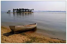 武汉东湖风景独具特色图片