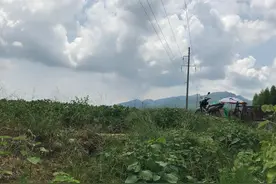 累了，享受下纯天然的鱼疗图片