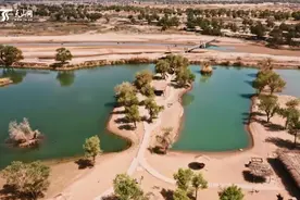 罗布人村寨图片