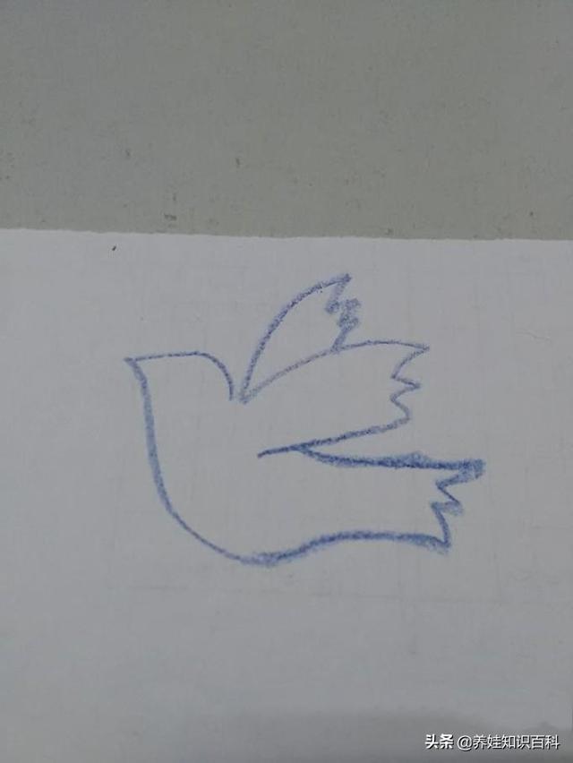 和平鸽怎么画？这样画，一分钟就可以学会，让孩子懂得和平即美好