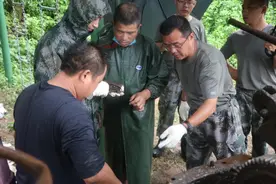 陆军某海防旅东海孤岛打出两百余米深水井图片
