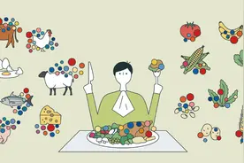 氨基酸的历史以及与健身产业的融合图片