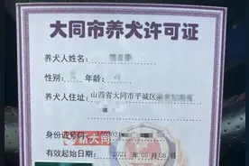 @大同人 请尽快申领《养犬许可证》图片