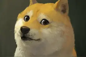 可以拿来装逼的冷知识又增加了图片