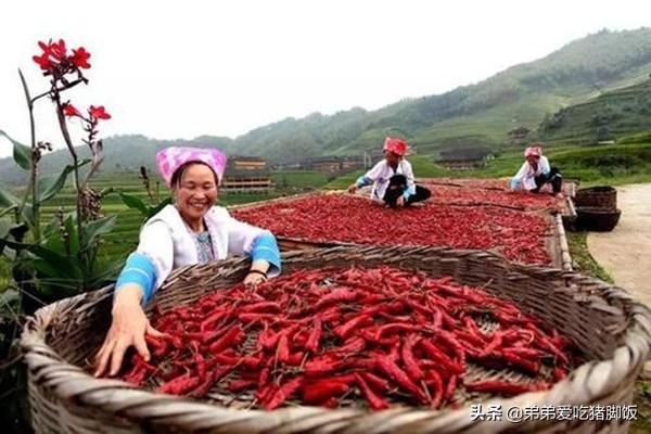 特产早知道——南丹长角辣椒