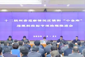 黄南州深入推动“小金库”和工程项目违规招投标问题专项治理工作图片
