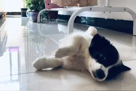 谢谢你，来到我的世界图片