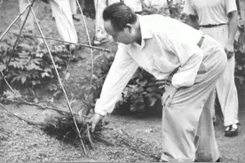 1959年，毛主席时隔32年再回韶山，见父母坟墓破败，事后如何反应图片