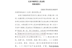 乐视网董事长刘延峰被限制消费图片