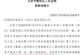 乐视网董事长刘延峰被限制消费图片